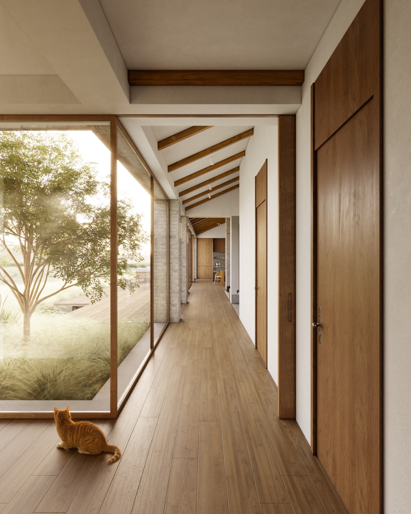 House in Moscow — corridor with a cat