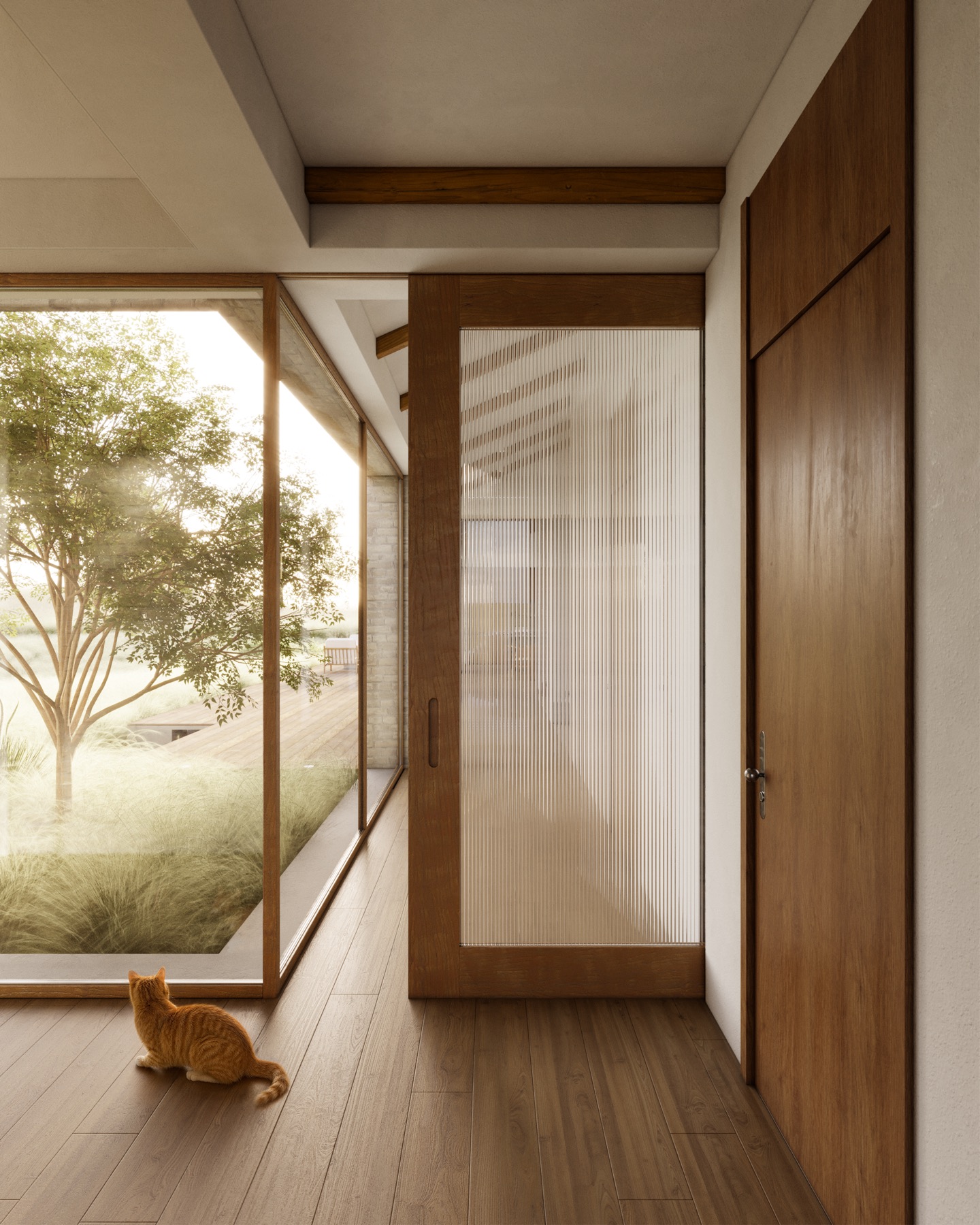 House in Moscow — corridor with sliding door and a cat